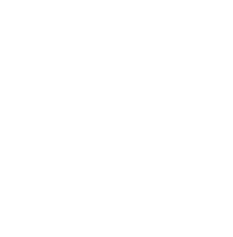 Illustration of a person holding a megaphone, depicted with simple lines and a minimalist design. The figure is outlined in white against a transparent background.