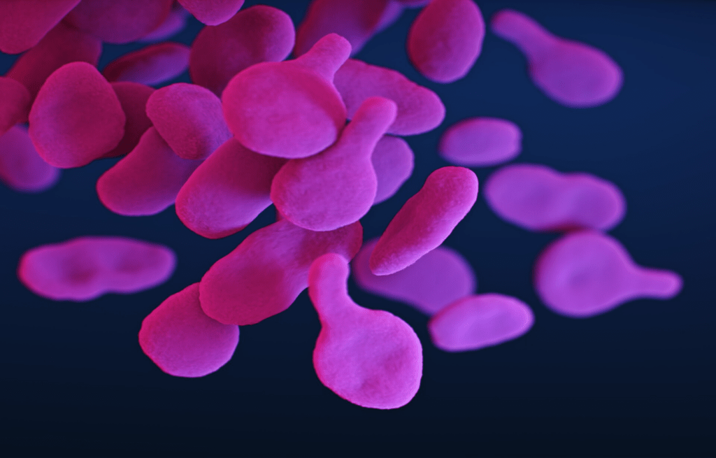A close-up illustration of pink, abstract, pebble-like shapes floating against a dark blue background.