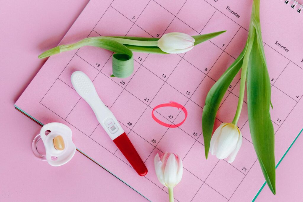 A calendar with a date circled, white tulips, a positive pregnancy test, and a baby pacifier arranged on a pink surface.
